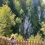 Brvnara Planinska Kuca Samak Sarajevo